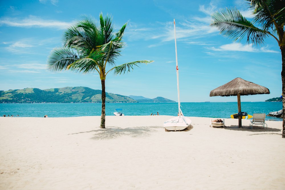 A sunny beach with palm trees and a small sailboat