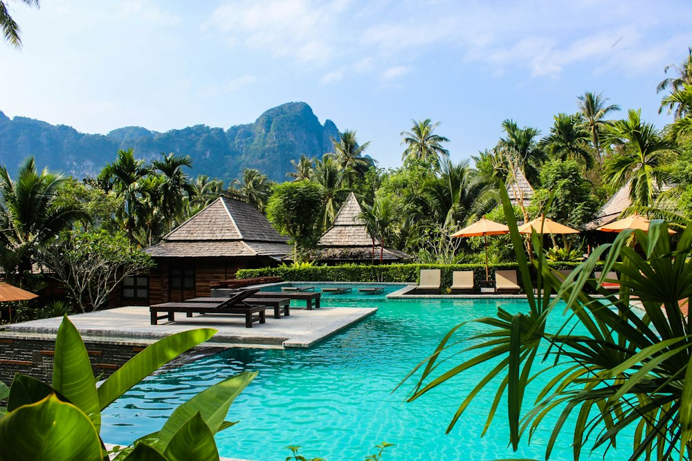A resort hotel nestled among tropical palms